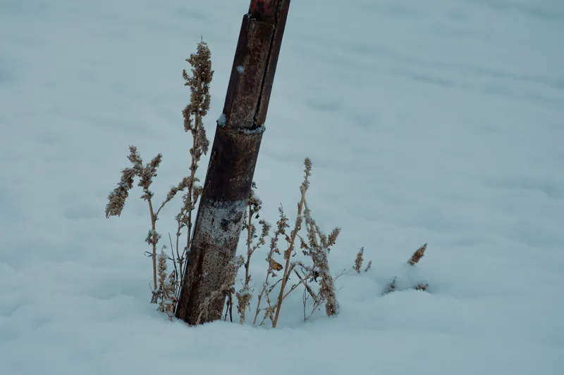 Burst & Frozen Pipes in Coppell's Hard Winter Freezes